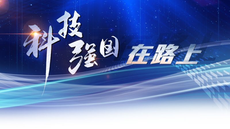 上海学校信息化建设平台：如何构建高效、安全的数字校园**